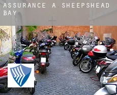 Assurance à Sheepshead Bay