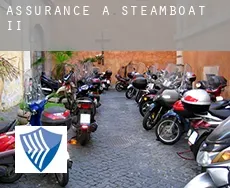 Assurance à  Steamboat II