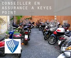 Conseiller en assurance à  Keyes Point