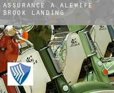 Assurance à  Alewife Brook Landing