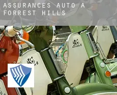 Assurances auto à  Forrest Hills