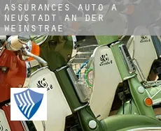 Assurances auto à Neustadt an der Weinstraße