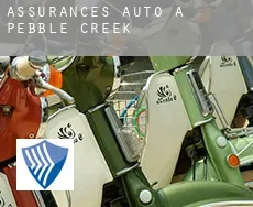 Assurances auto à  Pebble Creek