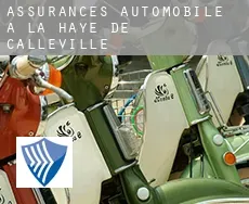 Assurances automobile à La Haye-de-Calleville