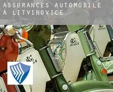 Assurances automobile à  Litvínovice