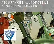 Assurances automobile à  Murrays Corner