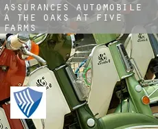 Assurances automobile à  The Oaks at Five Farms