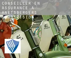 Conseiller en assurance à  Anetsberger's Subdivision