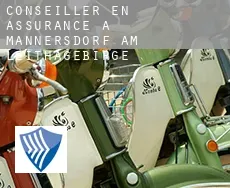 Conseiller en assurance à  Mannersdorf am Leithagebirge