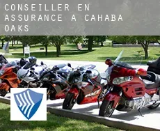 Conseiller en assurance à  Cahaba Oaks