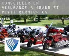Conseiller en assurance à  Grand-et-Petit-Bernier (census area)