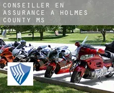 Conseiller en assurance à  Holmes