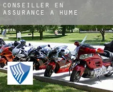 Conseiller en assurance à  Hume