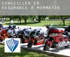 Conseiller en assurance à Mommaton