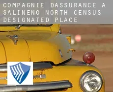 Compagnie d'assurance à Salineno North