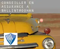 Conseiller en assurance à Ballintroohan