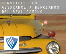 Conseiller en assurance à  Bercianos del Real Camino