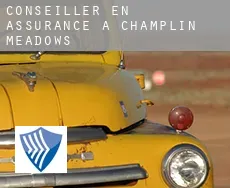 Conseiller en assurance à  Champlin Meadows