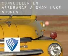 Conseiller en assurance à Snow Lake Shores