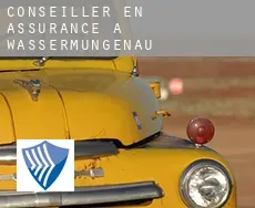 Conseiller en assurance à  Wassermungenau