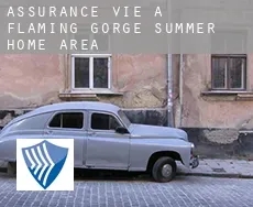 Assurance vie à  Flaming Gorge Summer Home Area