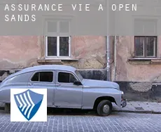 Assurance vie à  Open Sands