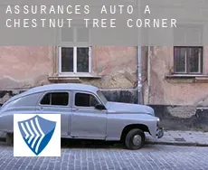 Assurances auto à  Chestnut Tree Corner