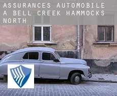 Assurances automobile à  Bell Creek Hammocks North