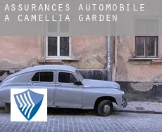 Assurances automobile à  Camellia Garden