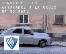 Conseiller en assurance à La Croix de Molphey