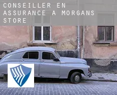 Conseiller en assurance à  Morgans Store