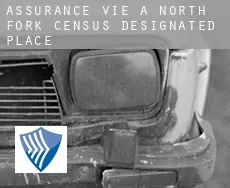 Assurance vie à  North Fork