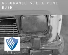 Assurance vie à  Pine Bush