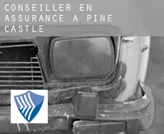 Conseiller en assurance à Pine Castle