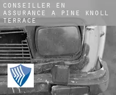 Conseiller en assurance à  Pine Knoll Terrace