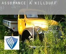 Assurance à  Killduff