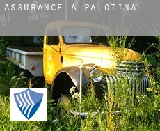 Assurance à Palotina