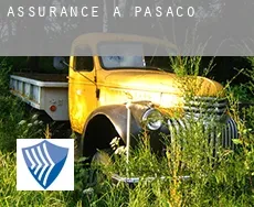 Assurance à Pasaco