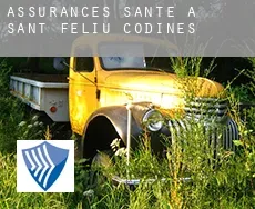 Assurances santé à  Sant Feliu de Codines