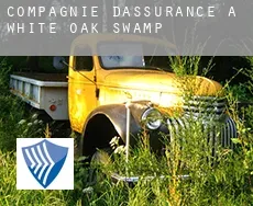 Compagnie d'assurance à  White Oak Swamp