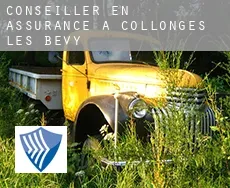 Conseiller en assurance à Collonges-lès-Bévy