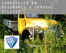 Conseiller en assurance à Sanokai Village