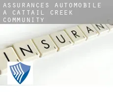 Assurances automobile à Cattail Creek Community