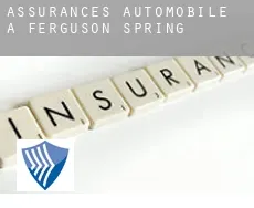 Assurances automobile à Ferguson Spring