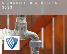 Assurance dentaire à Goss