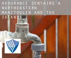 Assurance dentaire à  Northeastern Manitoulin and the Islands