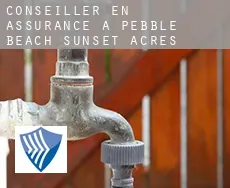 Conseiller en assurance à  Pebble Beach Sunset Acres