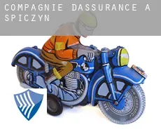 Compagnie d'assurance à  Spiczyn