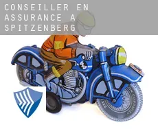Conseiller en assurance à  Spitzenberg