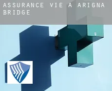 Assurance vie à  Arigna Bridge